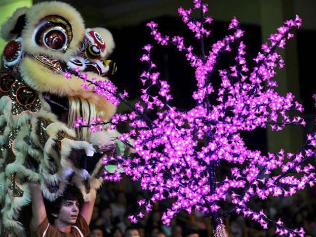Italian team members perform a lion dance during the world championships in Hong Kong. A total of eight teams take part in the lion dance which is a form of traditional dance in Chinese culture, in which performers mimic a lion's movements in a lion costume. (AFP photo/Laurent Fievet)