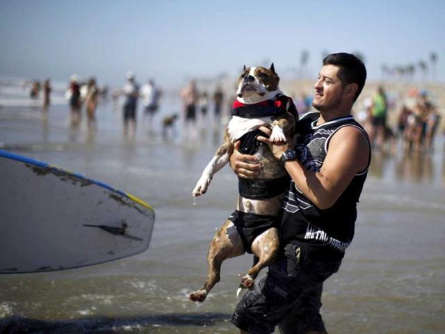 A man carries a competitor into the ocean during the Surf City Surf Dog contest in Huntington Beach. Reuters/Lucy Nicholson