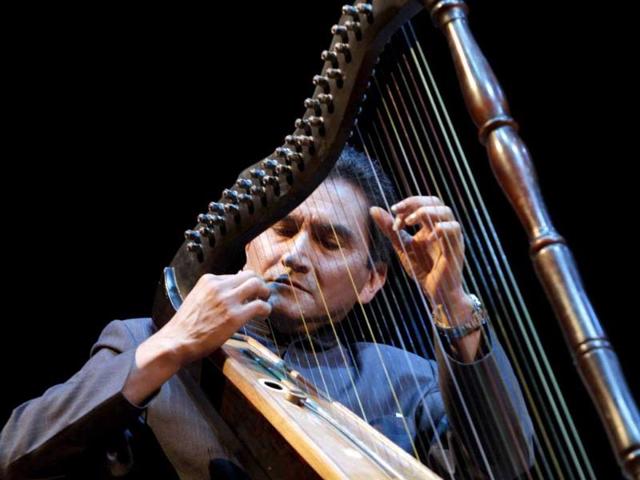 Colombia's Abdul Farfan plays his harp during a presentation to inaugurate the International Harp Festival organised by the Asuncion City Hall, inside the Municipal Theater in Asuncion. (Reuters/Jorge Adorno)