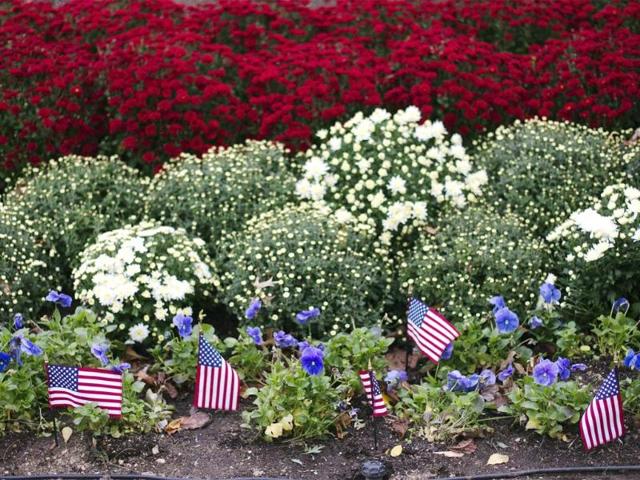 Small American flags stand in a flower bed as preparations continue for US presidential debate at Hofstra University in Hempstead, New York. Reuters/Lucas Jackson
