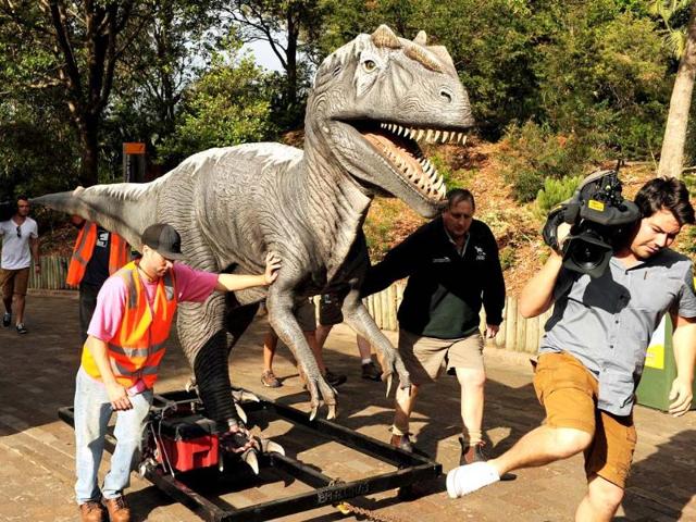 A television cameraman moves out of the way as an Allosaurus dinosaur is moved through Sydney's Taronga Zoo to take up it's position for the "Dinosaurs in the Wild" exhibition. AFP/Greg Wood