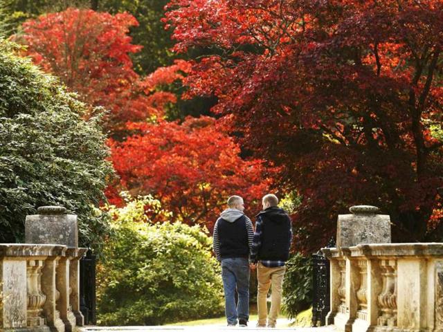 Two men walk hand in hand past changing autumn leaves in Sheffield Park Gardens near Haywards Heath in southern England. Reuters Photo