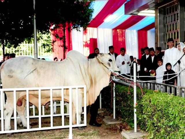 This handout photograph released by the Presidential Palace shows Indonesian President Susilo Bambang Yudhoyono (2nd R) handing over cattle to an official of the grand Mosque of Istiqlal in Jakarta to be sacrificed ahead of the Muslim feast of Eid al-Adha. Millions of Muslims around the world celebrate Eid al-Adha or "Feast of the Sacrifice", which marks the end of the annual hajj or pilgrimage to Mecca and celebrates Abraham's readiness to sacrifice his son to God.