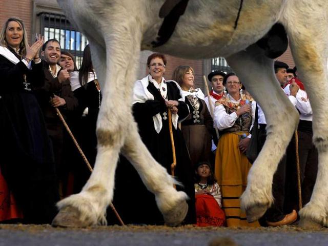 Participants look on as farmers lead their horses through the centre of Madrid, Spain. Spanish shepherds led flocks of sheep through the streets of downtown Madrid in defense of ancient grazing, migration and droving rights threatened by urban sprawl and man-made frontiers. (AP Photo)