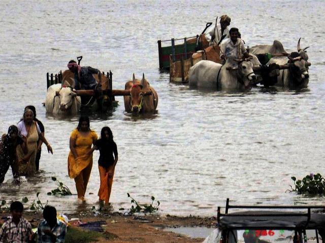 A family crossing a lake for a safer place as cyclone Nilam may hit Nellore district of Andhra Pradesh. PTI Photo