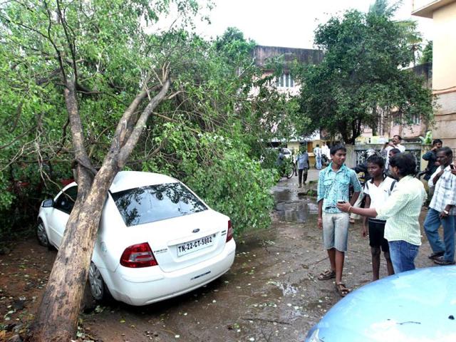 A tree rests on top of a car following heavy winds in the run up to cyclone Nilam in Chennai. AFP Photo