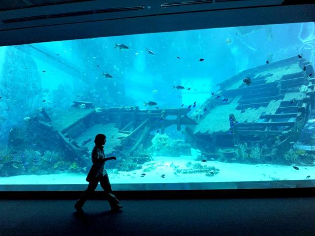 An employee walks past a replica of a shipwreck through one of the marine animal habitat at the South East Asia aquarium, the world's largest oceanarium in Sentosa Resort World marine life park. (AFP Photo)