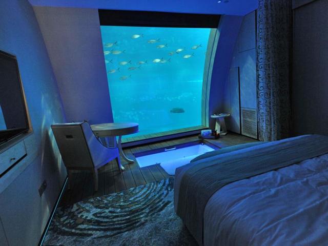 A suite that offers a window panel view of South East Asia aquarium, the world's largest oceanarium in Sentosa Resort World marine life park. (AFP Photo)
