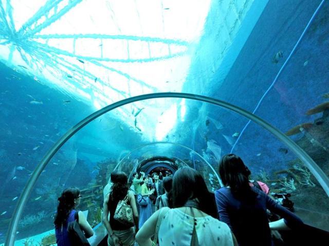 Guests walk through the South East Asia aquarium, the world's largest oceanarium at Sentosa Resort World marine life park. (AFP Photo)