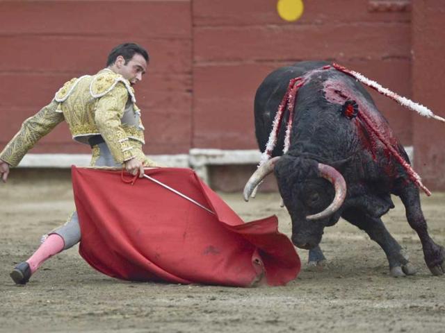 Spanish bullfighter Enrique Ponce performs during the "Senor de los Milagros" festival at the Acho bullring in Lima. (AFP Photo)