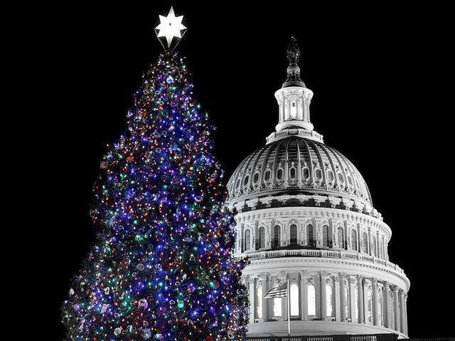 The year's tree is a 65-foot Engelmann spruce from the Blanco Ranger District of the White River National Forest in Colorado. (AFP/Alex Wong/Getty Images)