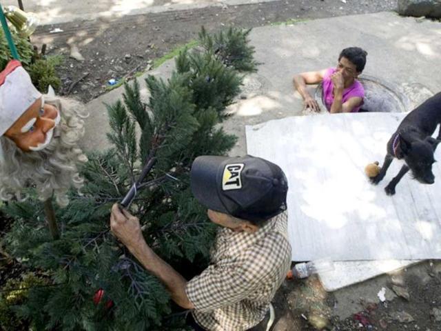 Colombian Miguel Restrepo prepares a Christmas tree as his wife Maria Garcia watches from the sewer where they live in Medellin, Antioquia department, Colombia. AFP Photo