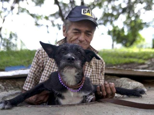Colombian Miguel Restrepo helps his dog get out of the sewer where they live in Medellin, Antioquia department, Colombia. AFP Photo