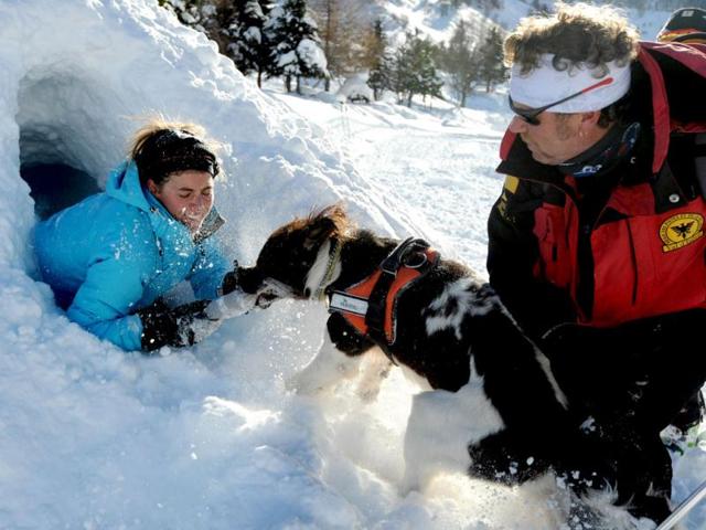 An avalanche dog frees a person buried in the snow as his master looks on during an avalanche dogs training session near Les Deux Alpes ski resort in the French Alps. France, with 140 avalanche rescue teams with dogs, is a reference in this activity sector which trains foreigners from Europe and other continents. (AFP Photo)