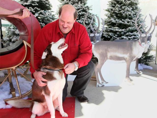 Brian Baumgartner from NBC's "The Office," right, judges Quila, a Siberian husky, during Santa's Next Reindeer contest at the grand opening of Banfield Pet Hospital and PetSmart in Los AngeleS. AP
