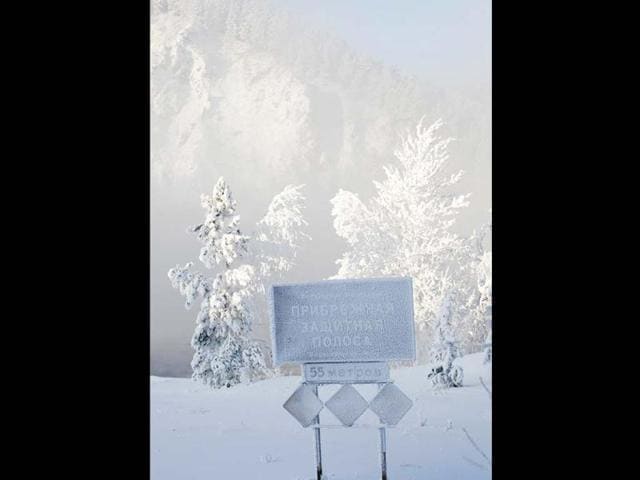 Trees and a road sign covered with heavy hoarfrost are seen on a bank of the Yenisei River in an air temperature of about minus 30 degrees Celcius (minus 22 Fahrenheit) in Russia's Siberian city of Krasnoyarsk. (Reuters)