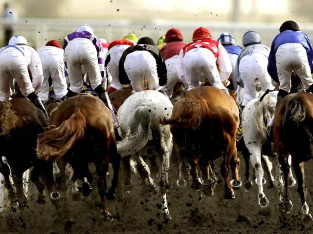 Jockeys compete in the Dubai Kahayla Classic horse race at the Dubai World Cup, the world's richest horse race with a prize money of 10 million US dollars, in the Gulf emirate on March 31, 2012. AFP Photo