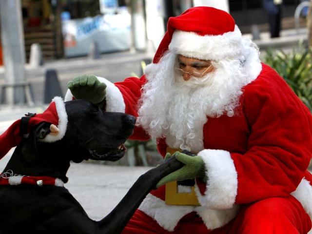 A man disguised as Santa Claus greets his dog in Mexico City. (AP Photo)