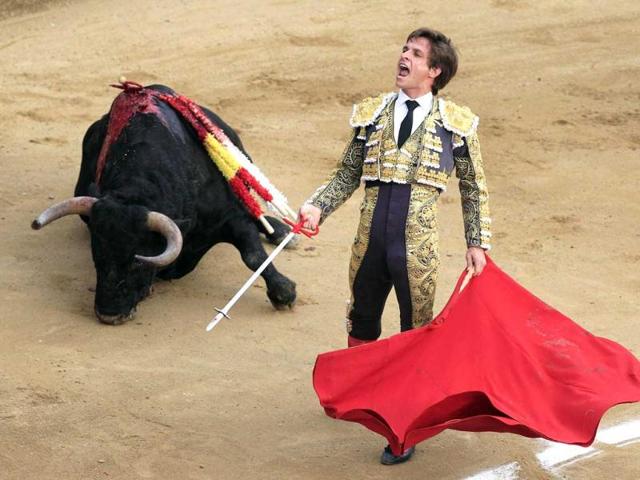 Spanish bullfighter Julian Lopez "El Juli" gestures to the audience after killing a bull during a bullfighting festival at Canaveralejo bullring in Cali. (Reuters)