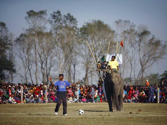 A referee gives instructions to a mahout during an exhibition soccer match played by elephants on the final day of the Elephant Race event at Sauraha in Chitwan, about 170 km (106 miles) south of Kathmandu. Reuters/Navesh Chitrakar