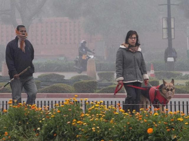A woman walks along with her pet dog at a road near Vijay Chowk during a cold and foggy morning in New Delhi on new Year day. PTI/Kamal Singh