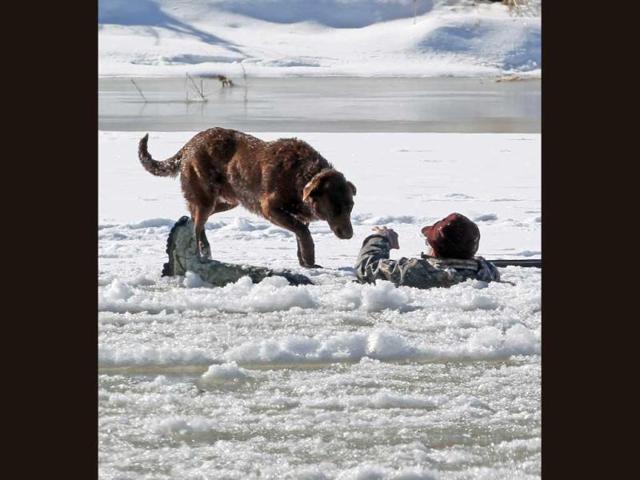 A hunter gestures his dog away as he waits in the Colorado River for rescue in Mesa County. AP
