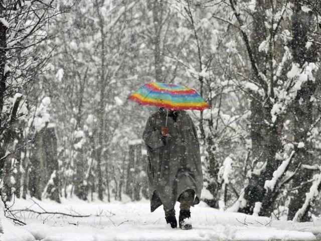 A Kashmiri man passes through snow in Srinagar. HT/Waseem Andrabi
