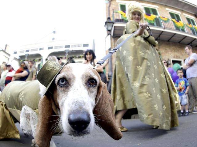 Jenna McMullen walks her dog Abigail during the Mystic Krewe of Barkus parade, in New Orleans. AP Photo