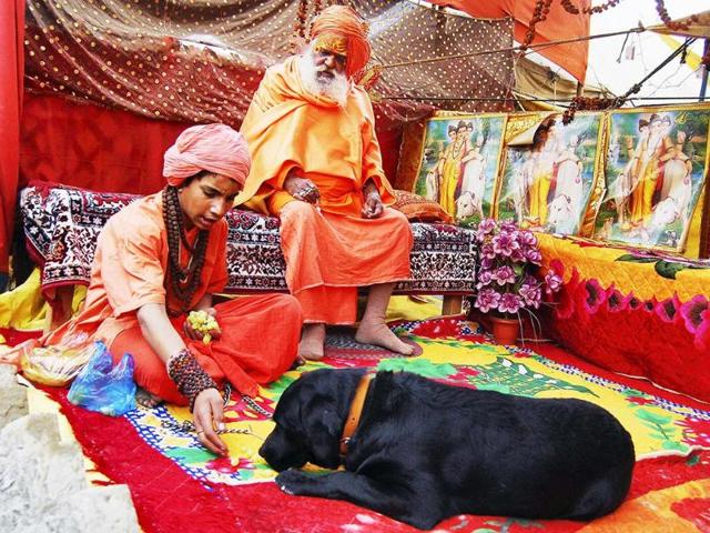 A young sadhu plays with his dog at a camp in the ongoing Maha Kumbh Mela in Allahabad. PTI