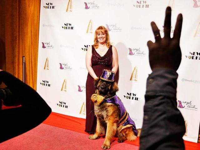Morgan Avila stands with her dog Mr America on the red carpet before the start of the New Yorkie Runway Doggie Fashion Show in New York. Reuters/Shannon Stapleton
