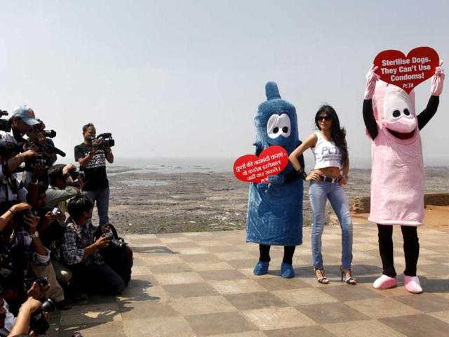 Bollywood film actress and model Sherlyn Chopra, (C), along with two members of PETA hold signs that read 'Sterilise Dogs they can't use condoms!'.Sherlyn was part of an awareness campaign in Mumbai on Tuesday. (HT Photo)