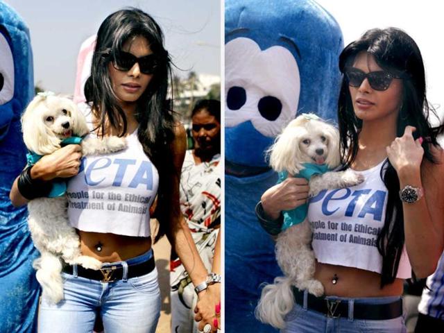 Bollywood actor Sherlyn Chopra displayed her wild love on Tuesday in Mumbai. Take a look at her pictures.