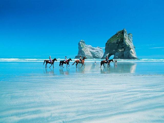 Horse trek, Wharariki Beach.