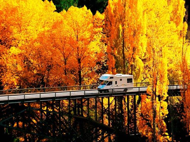 Autumn Loves Central Otago.