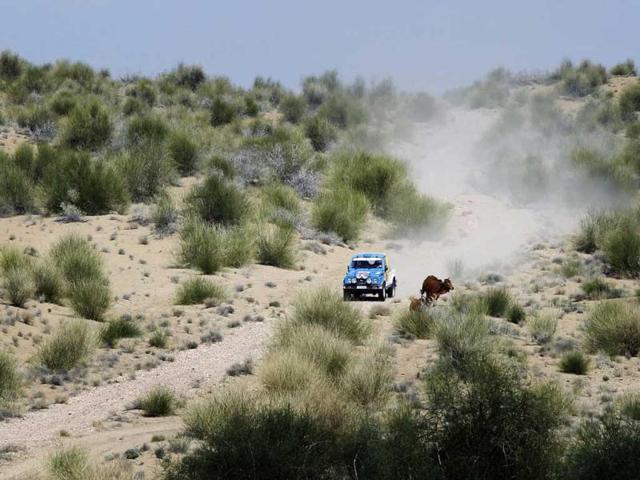 Over 275 motor enthusiasts participated in the Maruti Suzuki Desert Storm in Rajasthan. HT photo/Ajay Aggarwal