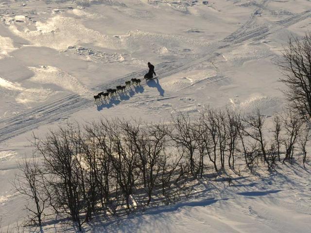 A musher kicks while traveling to Koyuk in Alaska during the Iditarod Trail Sled Dog Race. AP photo/Bill Roth