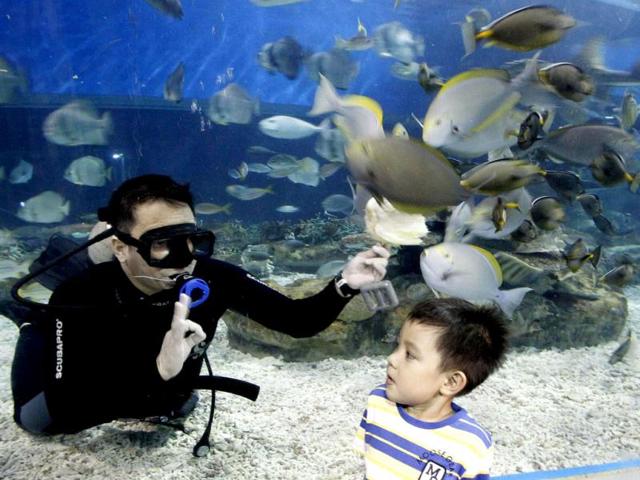 A professional diver gestures as a boy watches him feeding fish inside an aquarium at Ocean Park in Manila. (Reuters)