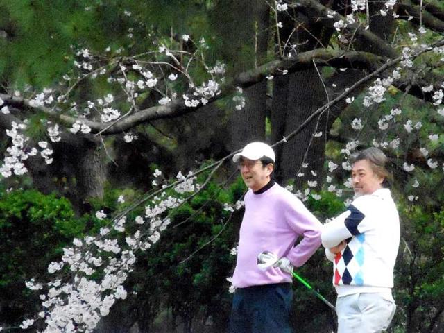 Japanese Prime Minister Shinzo Abe smiles while playing golf next to cherry blossom trees at a golf course in Chigasaki, Kanagawa prefecture, southwest of Tokyo. AFP/Jiji Press