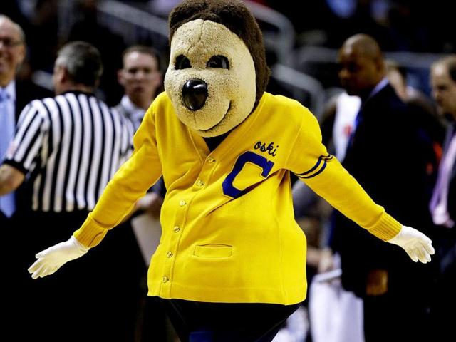 The California Golden Bears mascot performs in the secon dhalf against the Syracuse Orange during the third round of the 2013 NCAA Men's Basketball Tournament at HP Pavilion in San Jose, California. AFP photo