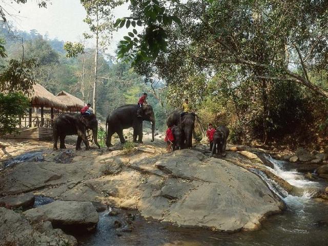 Elephant-riding-in-the-Thai-jungle-is-just-one-of-the-events-programmed-in-the-Four-Seasons-luxury-Around-the-World-tour-Photo-AFP-PRNewsFoto-Four-Seasons-Hotels-amp-Resorts