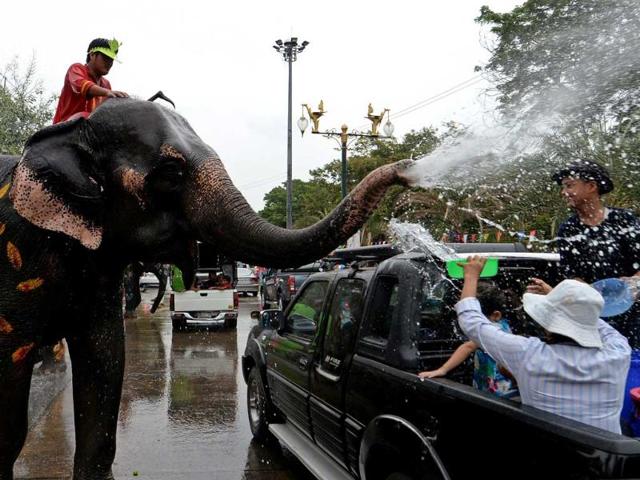 Thai villagers take part in a water battle with elephants as they join celebrations marking the Songkran Festival in Ayutthaya province. Songkran is the Thai New Year and is celebrated by people by splashing water at each other. AFP