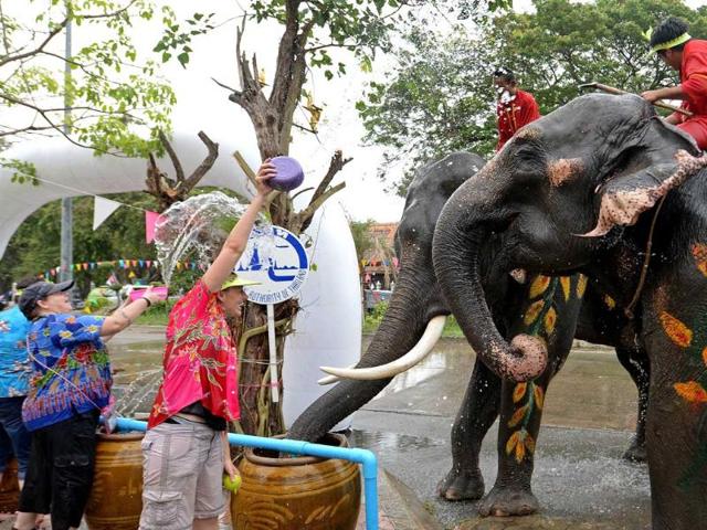 Foreign tourists take part in water battles with elephants as they join celebrations marking the Songkran Festival in Ayutthaya province. AFP