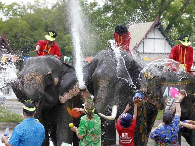 Elephants spray water at tourists in celebration of the Songkran water festival in Thailand's Ayutthaya province, about 80km north of Bangkok. Songkran marks the start of Thailand's traditional New Year. Reuters