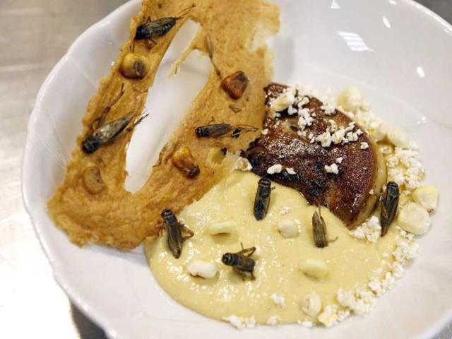 Picture taken in Nice, southeastern France, of a dish "Cremeux de mais, foie gras poele", prepared with crickets by French Michelin-starred Chef David Faure at his restaurant "Aphrodite". Chef David Faure proposed dishes composed with worms and crickets. (AFP)