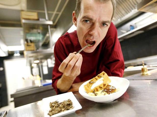 French Michelin-starred Chef David Faure about to eat a cricket as he poses in front of a dish "Cremeux de mais, foie gras poele" in the kitchen of his restaurant "Aphrodite", in Nice, southeastern France. Chef David Faure proposed dishes composed with worms and crickets. (AFP)