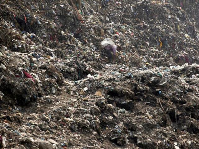 A rag picker rummages for recyclable rubbish along a crude path on the garbage heaps in the Ghazipur landfill site in east Delhi. HT Photo/Raj K Raj 