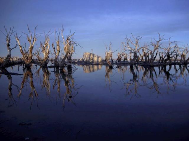 Trees are reflected in water in Epecuen, a village that once was submerged in water in Argentina. AP photo