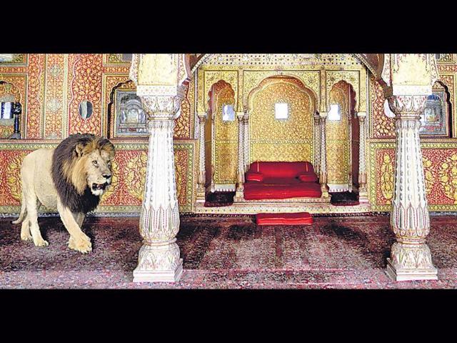 Exotic-Aliens-The-Lion-and-the-Cheetah-in-India-Photo-credit-Koushub-Sharma-and-Valmik-Thapar Exotic-Aliens-The-Lion-and-the-Cheetah-in-India-Photo-credit-Koushub-Sharma-and-Valmik-Thapar