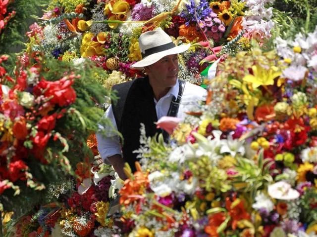 A flower grower, known as a silletero, looks at flower arrangements as he participates in the annual flower parade in Medellin. REUTERS