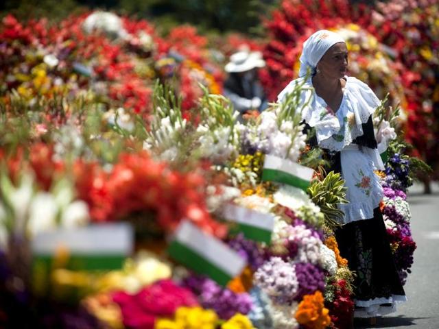 A traditional Silletero gets ready to parade during the Flower Festival in Medellin, Antioquia department, Colombia. AFP photo A traditional Silletero gets ready to parade during the Flower Festival in Medellin, Antioquia department, Colombia. AFP photo